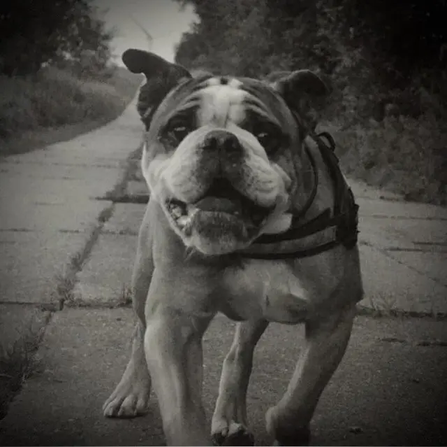 Condolence image of Conny 