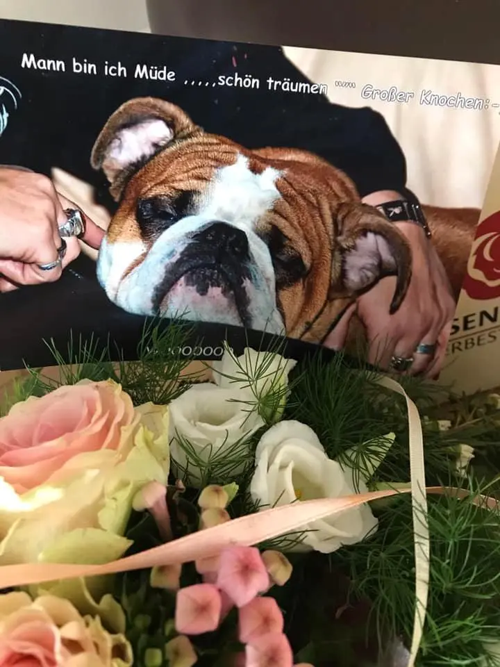 Condolence image of Conny 