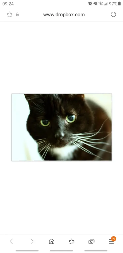 Image from Minka