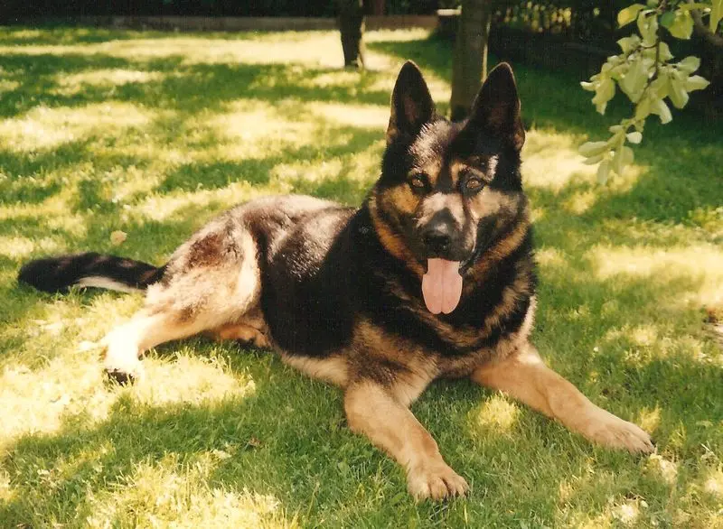 Condolence image of M.