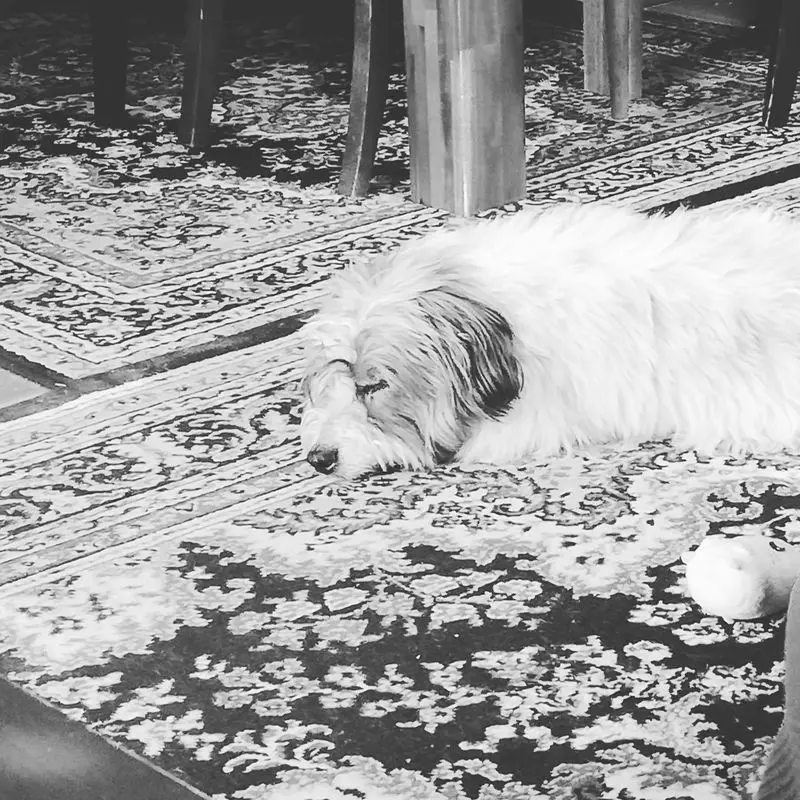 Condolence image of Saskia