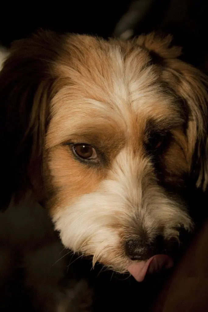 Condolence image of Saskia
