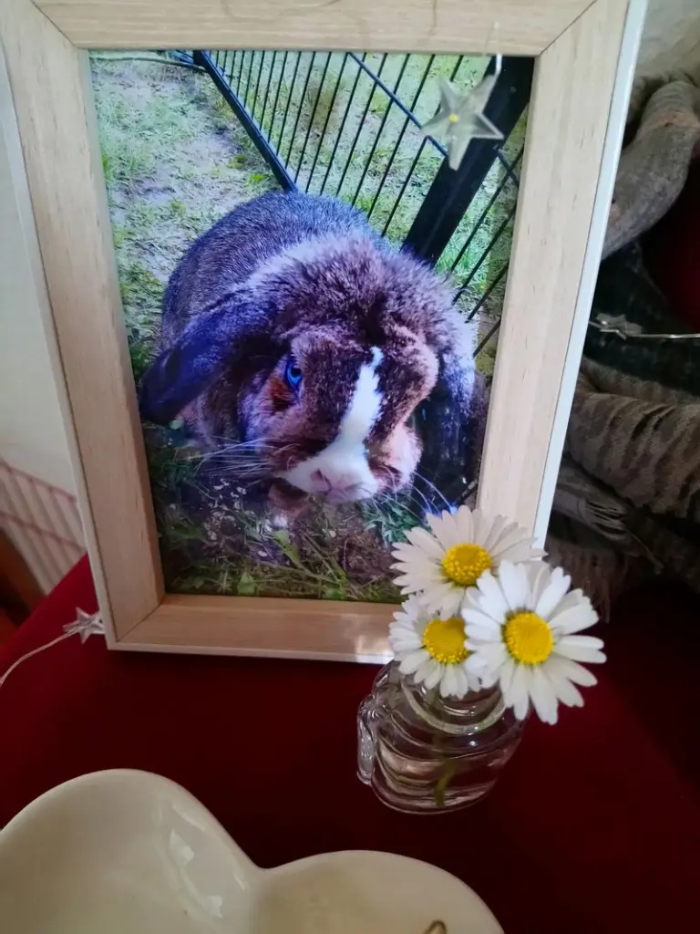 Andachtsbild von Für Cessy ⭐