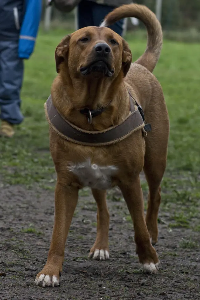 Andachtsbild von Michaela  mit Kany( gestorben 06..05.2021