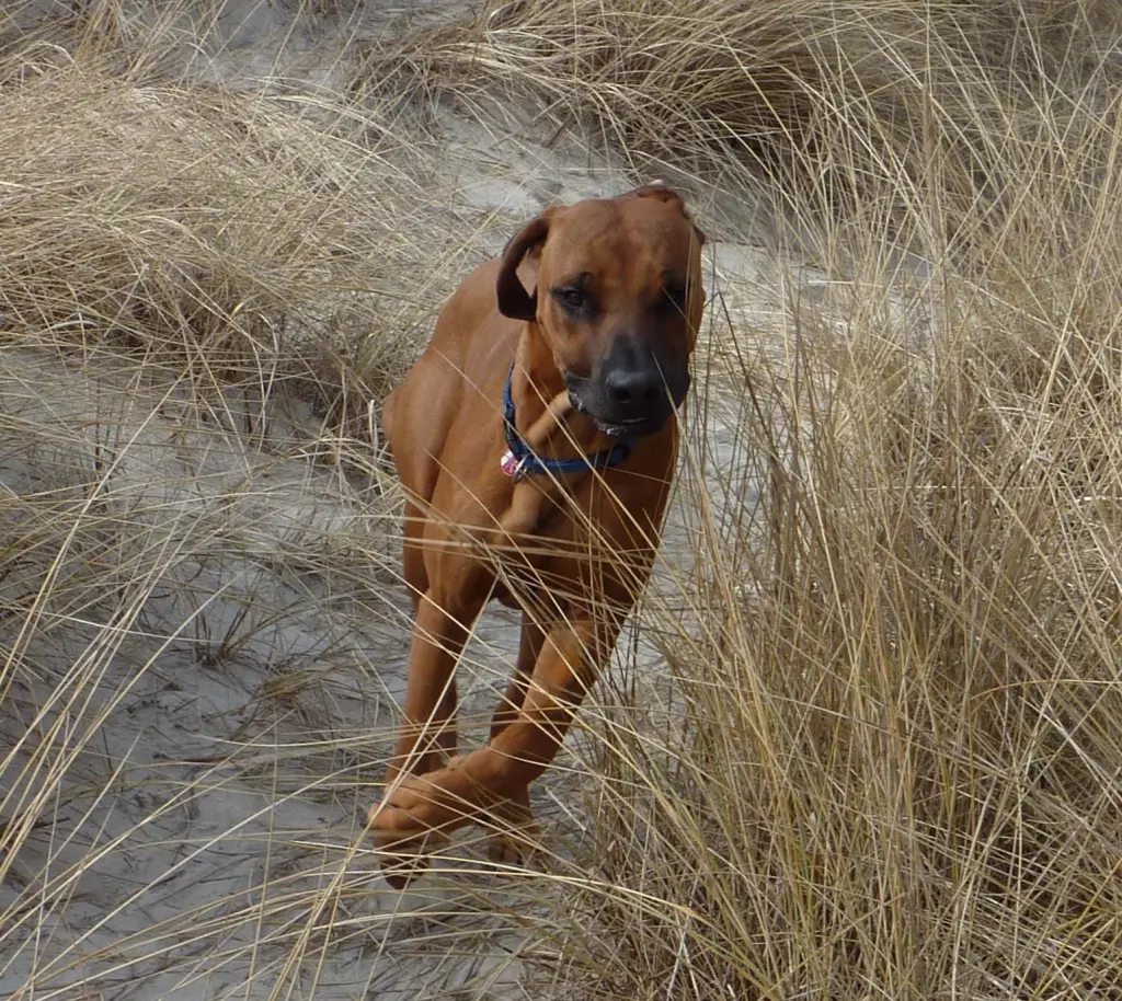 Andachtsbild von Astrid Patermann