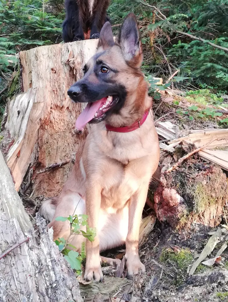 Andachtsbild von Verena Goldbrunner