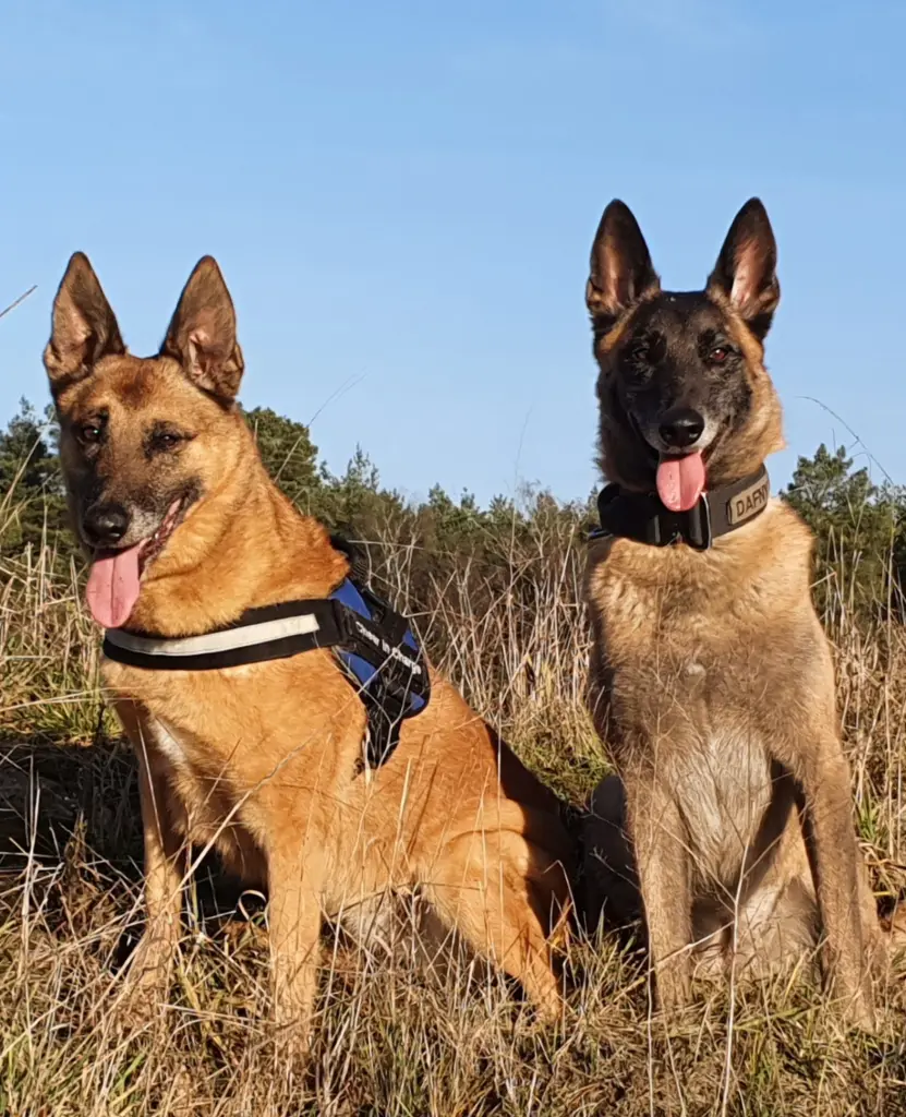 Andachtsbild von Markus Peter