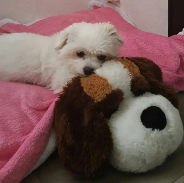 Image from Kira