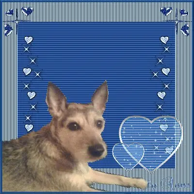 Image from Kessy