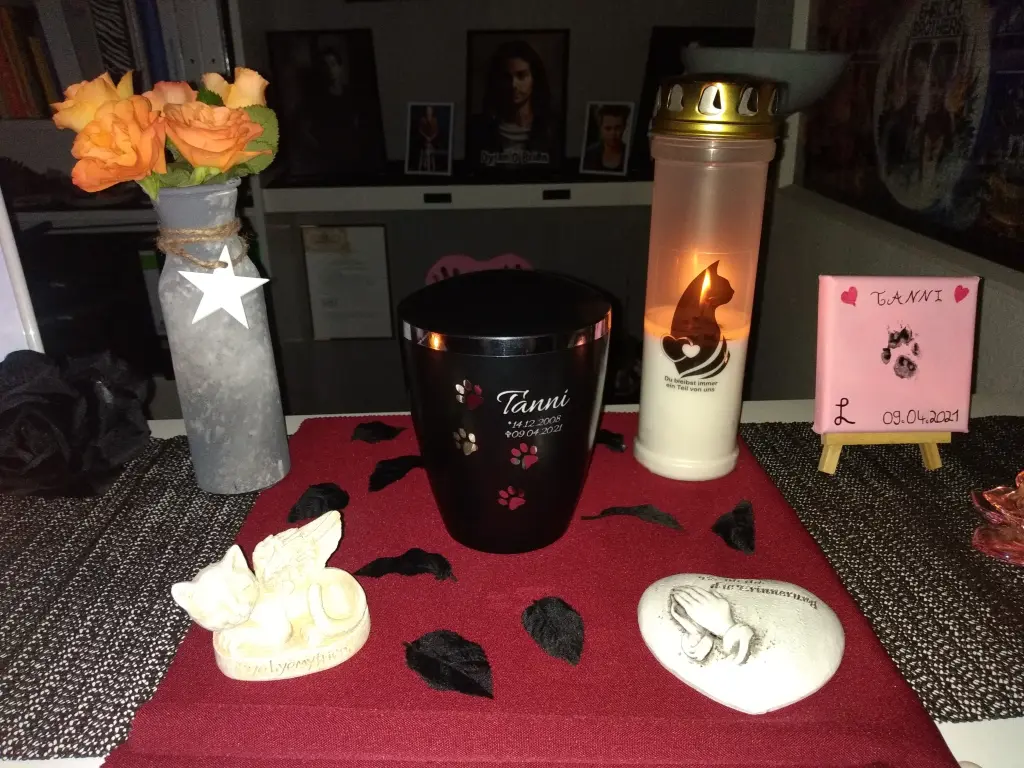Image from Tanni