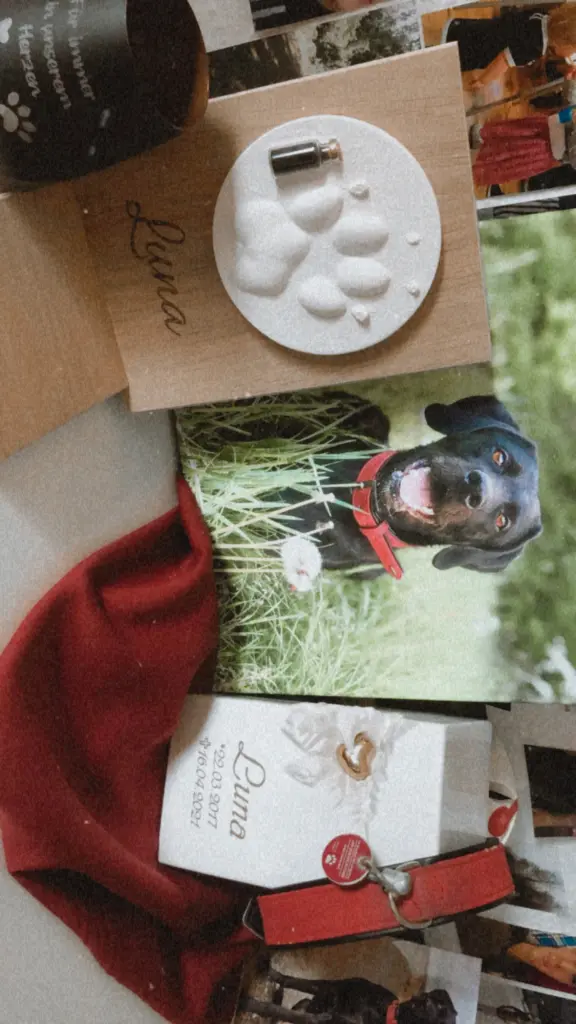 Image from Luna