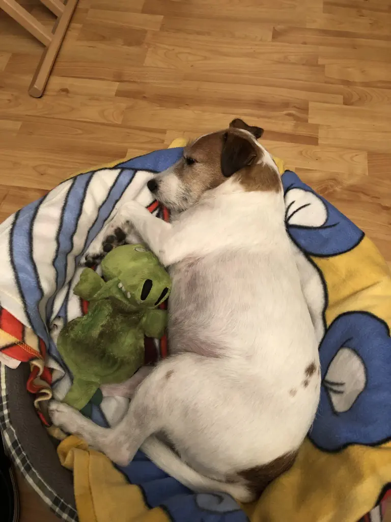 Image from Spike