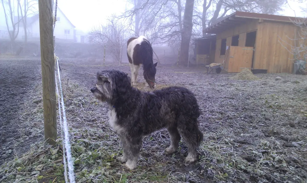 Image from Bessy