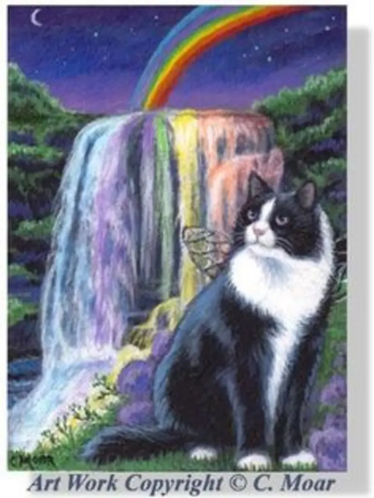 Condolence image of Katrin und Katzi im ❤️