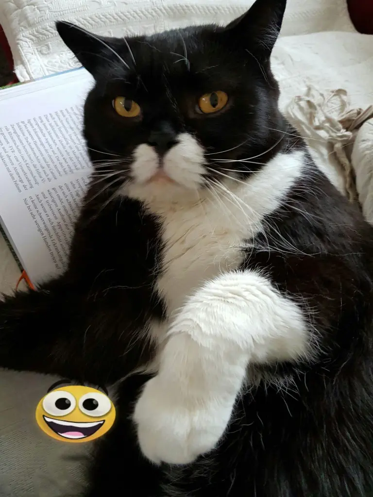 Image from Oskar