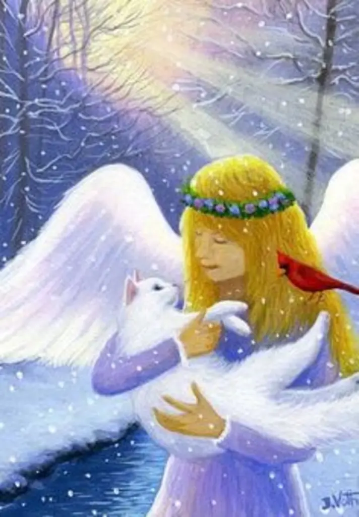 Condolence image of Katrin und Katzi im ❤️