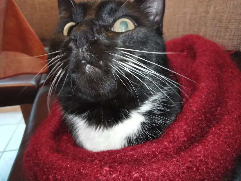 Condolence image of Conny