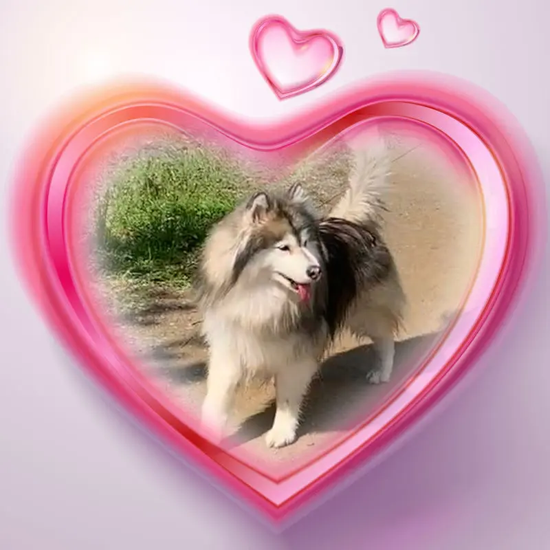 Condolence image of Connie
