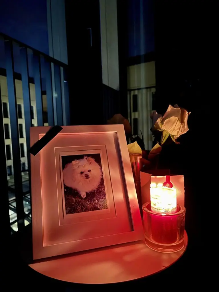 Condolence image of Frank Farenski
