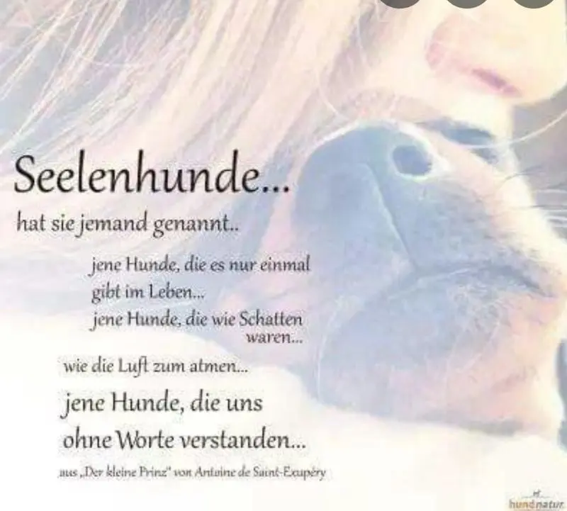 Condolence image of Paula