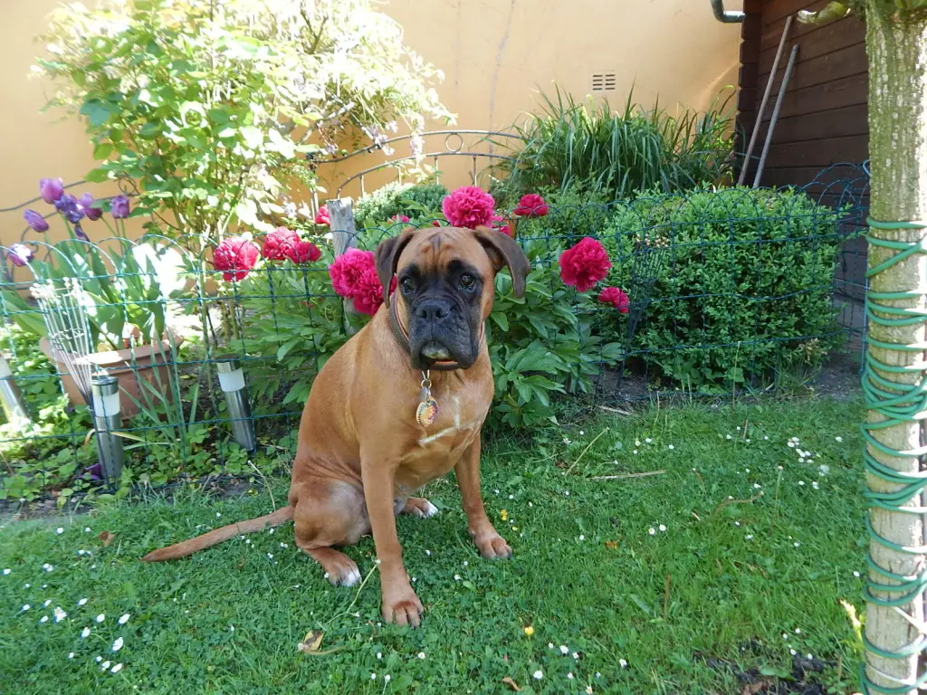 Condolence image of Ulrike