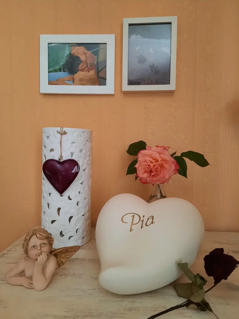 Condolence image of Ulrike mit Pia und Lara im Herzen