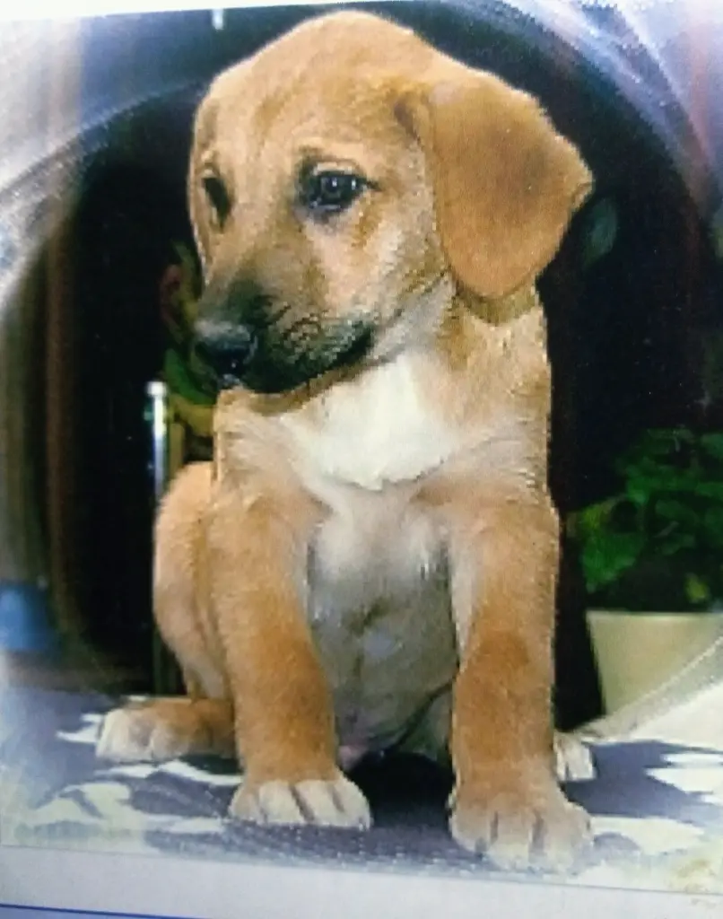 Condolence image of Kay