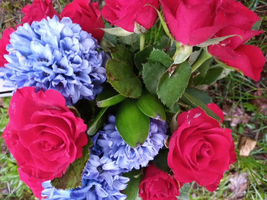 Condolence image of Kay