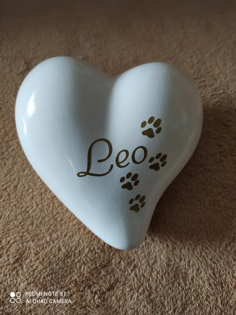 Image from Leo