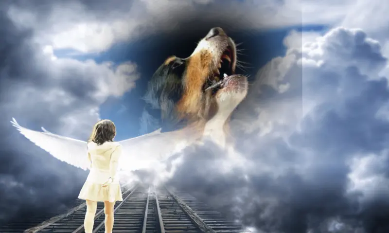 Condolence image of Susanne Graalfs