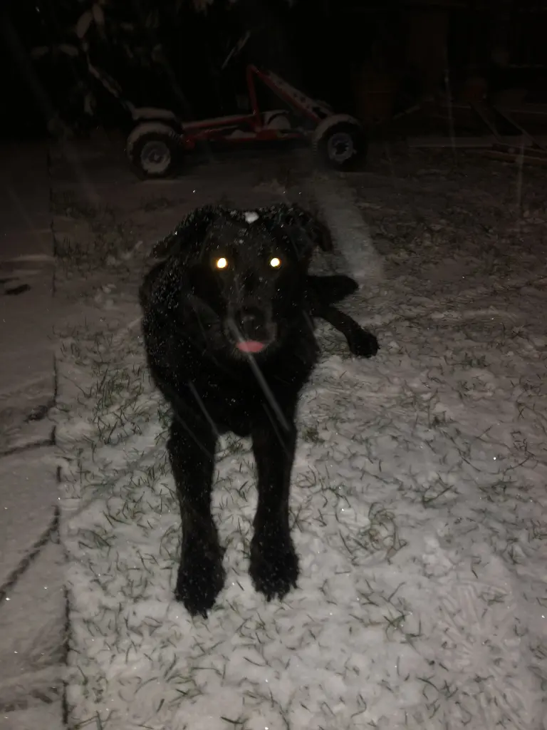 Image from Frieda