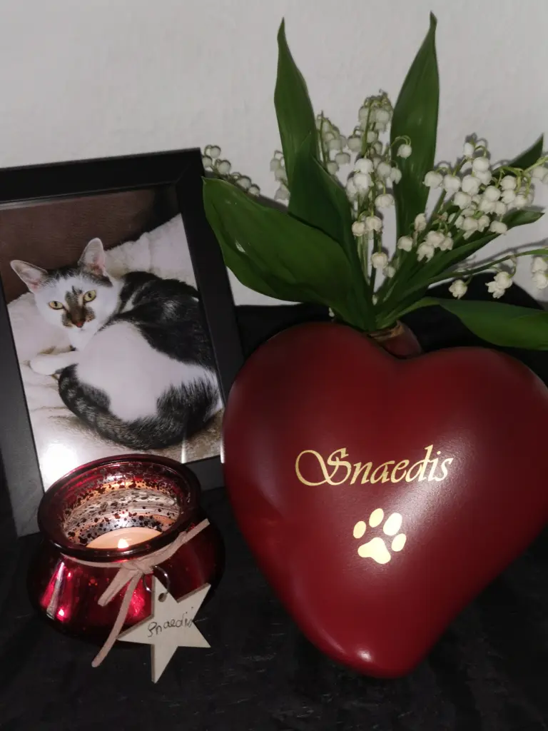 Image from Snaedis