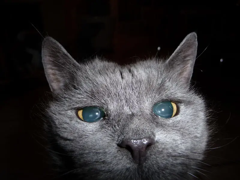 Condolence image of Conny