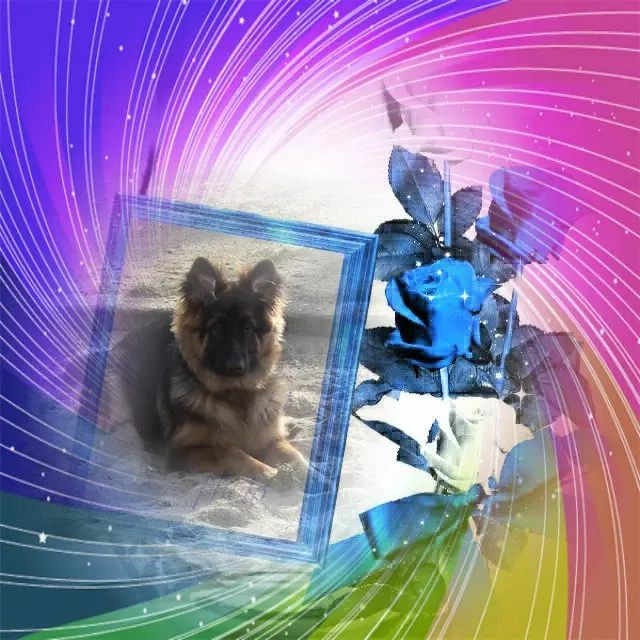 Andachtsbild von ❤️❤️❤️