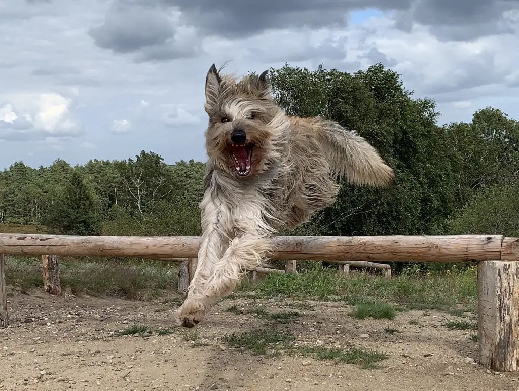 Andachtsbild von Stefan