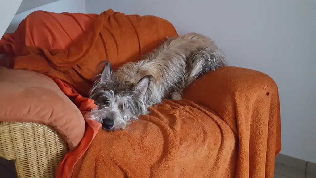 Andachtsbild von Stefan