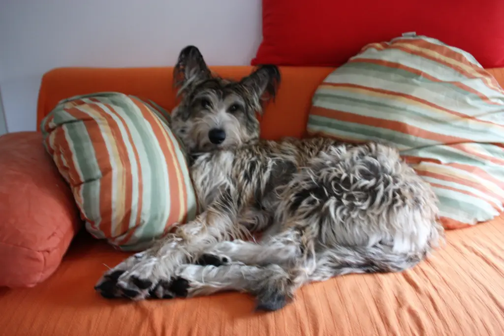 Andachtsbild von Stefan