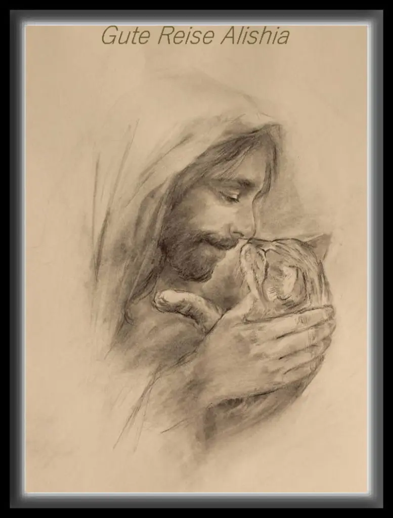 Condolence image of Sabine mit Kaspar tief im Herzen