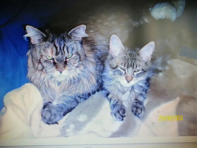 Condolence image of Papa und Mama