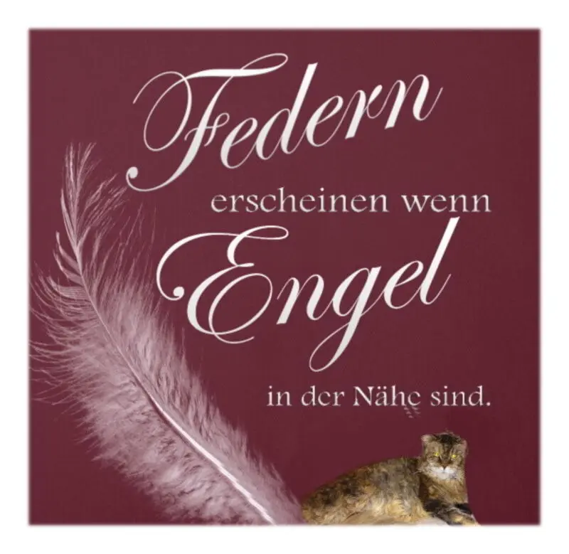 Condolence image of Sabine mit Kaspar tief im Herzen