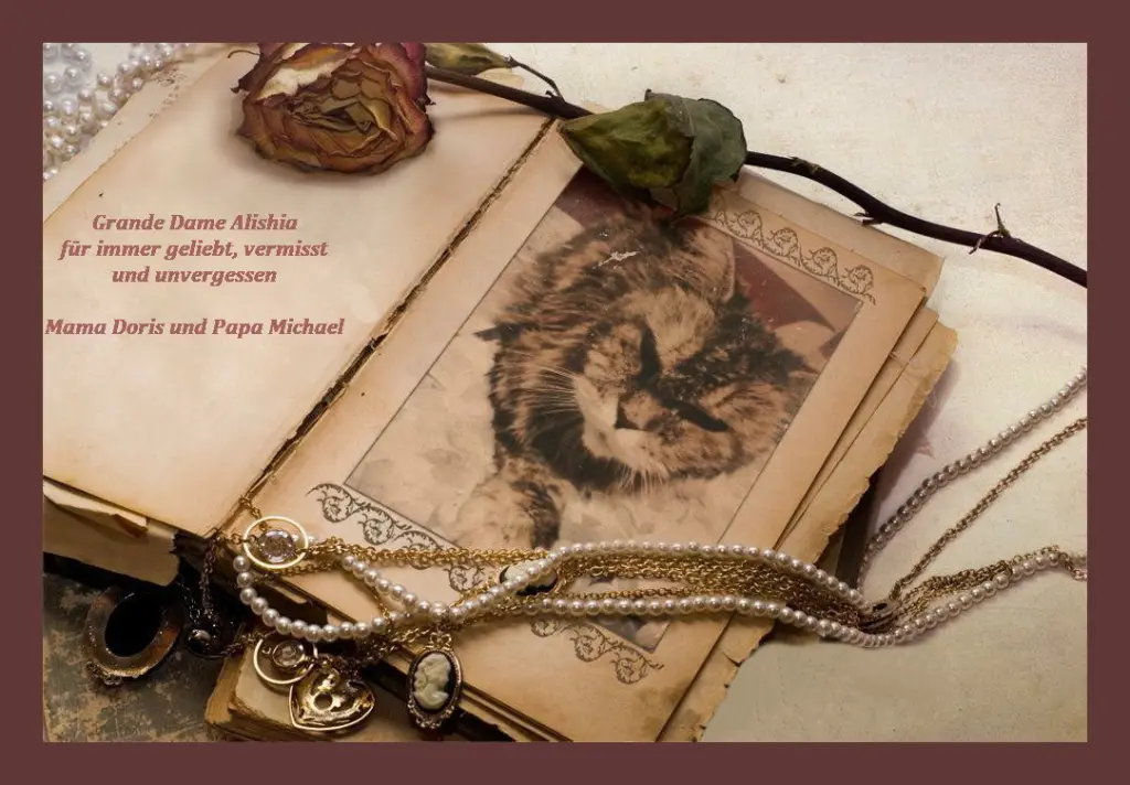 Condolence image of Sabine mit Kaspar tief im Herzen☸ڿڰۣ❤️