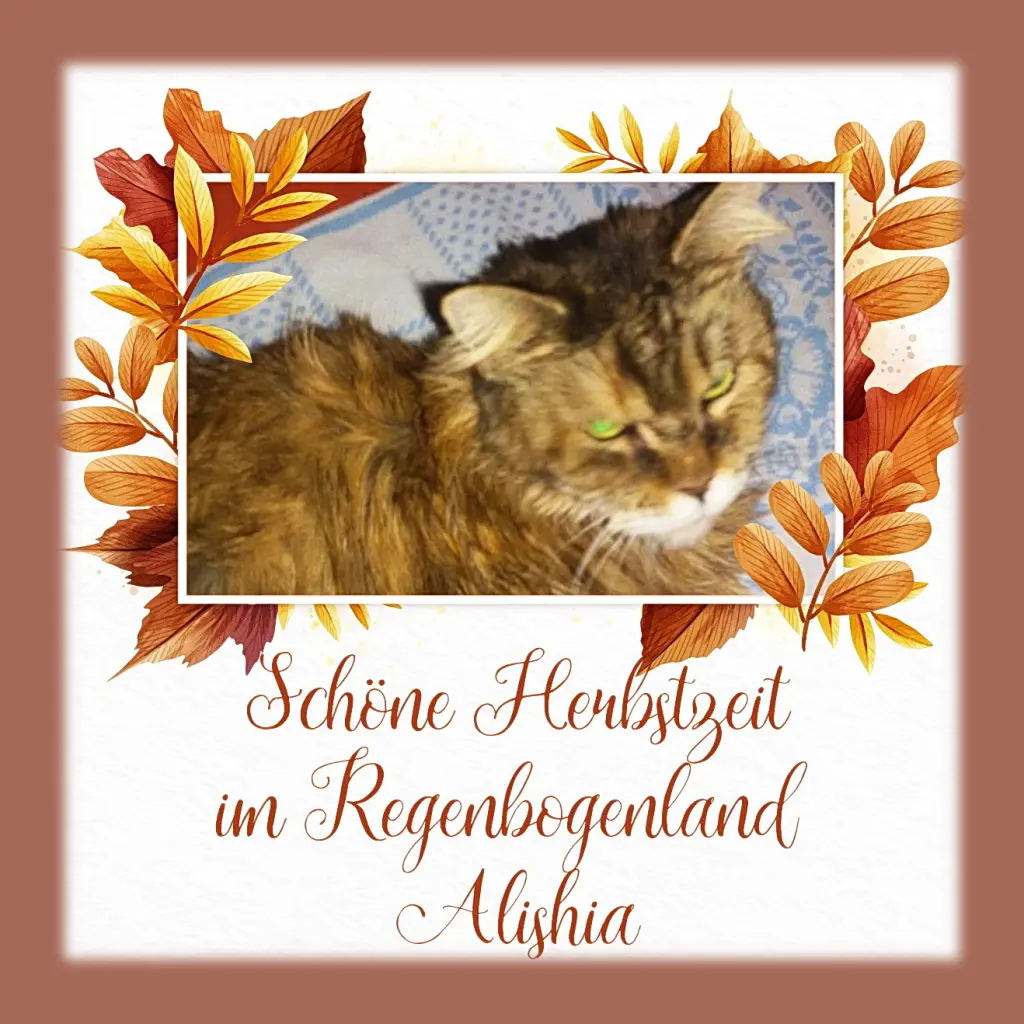 Condolence image of Sabine mit Kaspar tief im Herzen☸ڿڰۣ❤️
