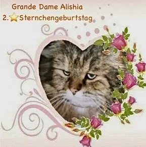 Condolence image of Sabine mit Kapar Bärchen tief im ♥️