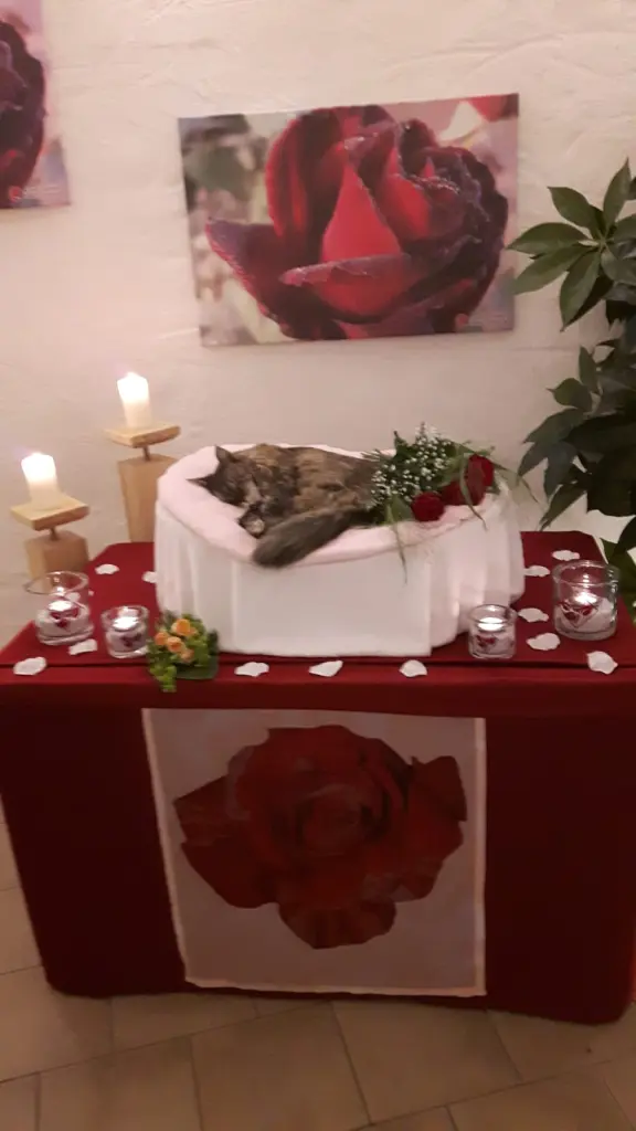 Condolence image of Papa u Mama