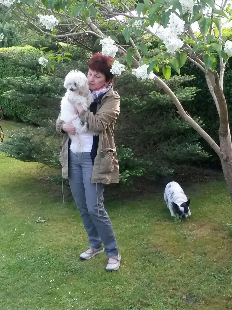 Andachtsbild von Unbekannt