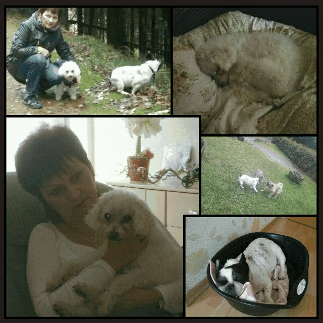 Andachtsbild von Unbekannt