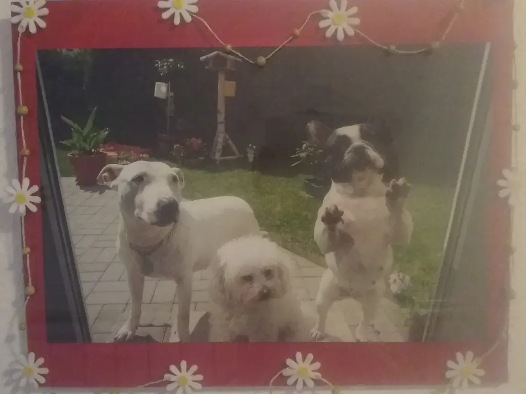 Andachtsbild von Unbekannt