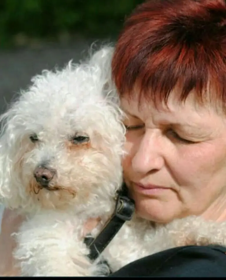 Andachtsbild von Unbekannt