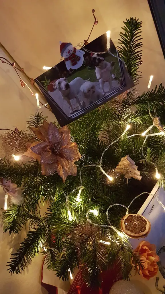 Andachtsbild von Unbekannt