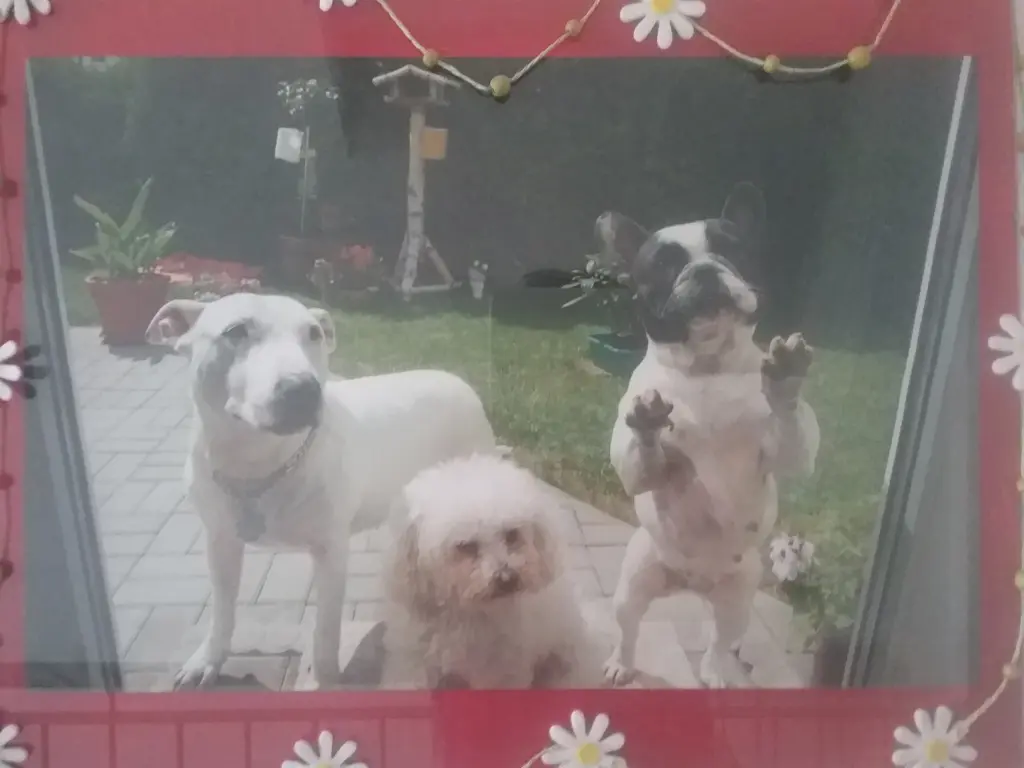 Andachtsbild von Unbekannt